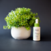 Best Niacinamide Serums on Amazon (2026): Honest Reviews & Top Picks